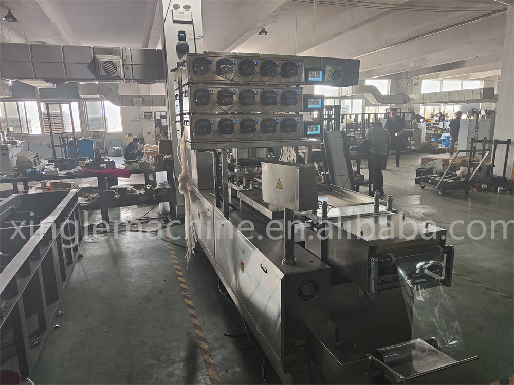 Pharmaceutical Pvc Blister Packing Machine Alu Alu, Alcohol Cotton Ball